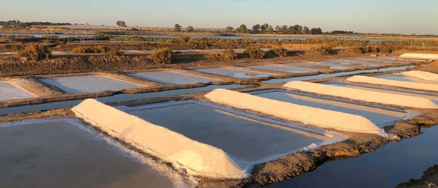 Visita guiada por las salinas del Alemán